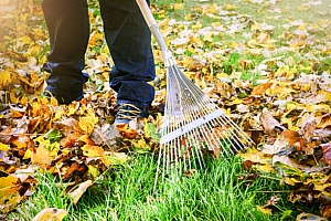 Entretien de jardin : Personne en train de nettoyer les feuilles d'un jardin