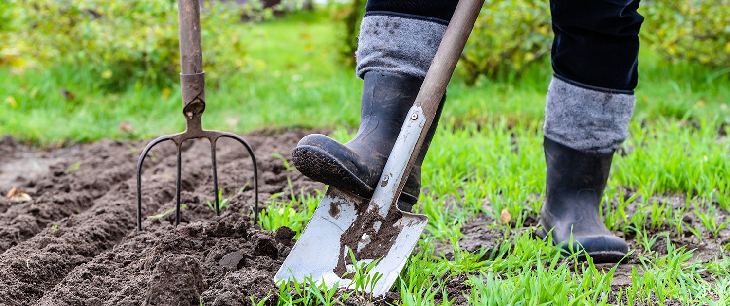 Jardinage : quelqu’un en train de travailler la terre